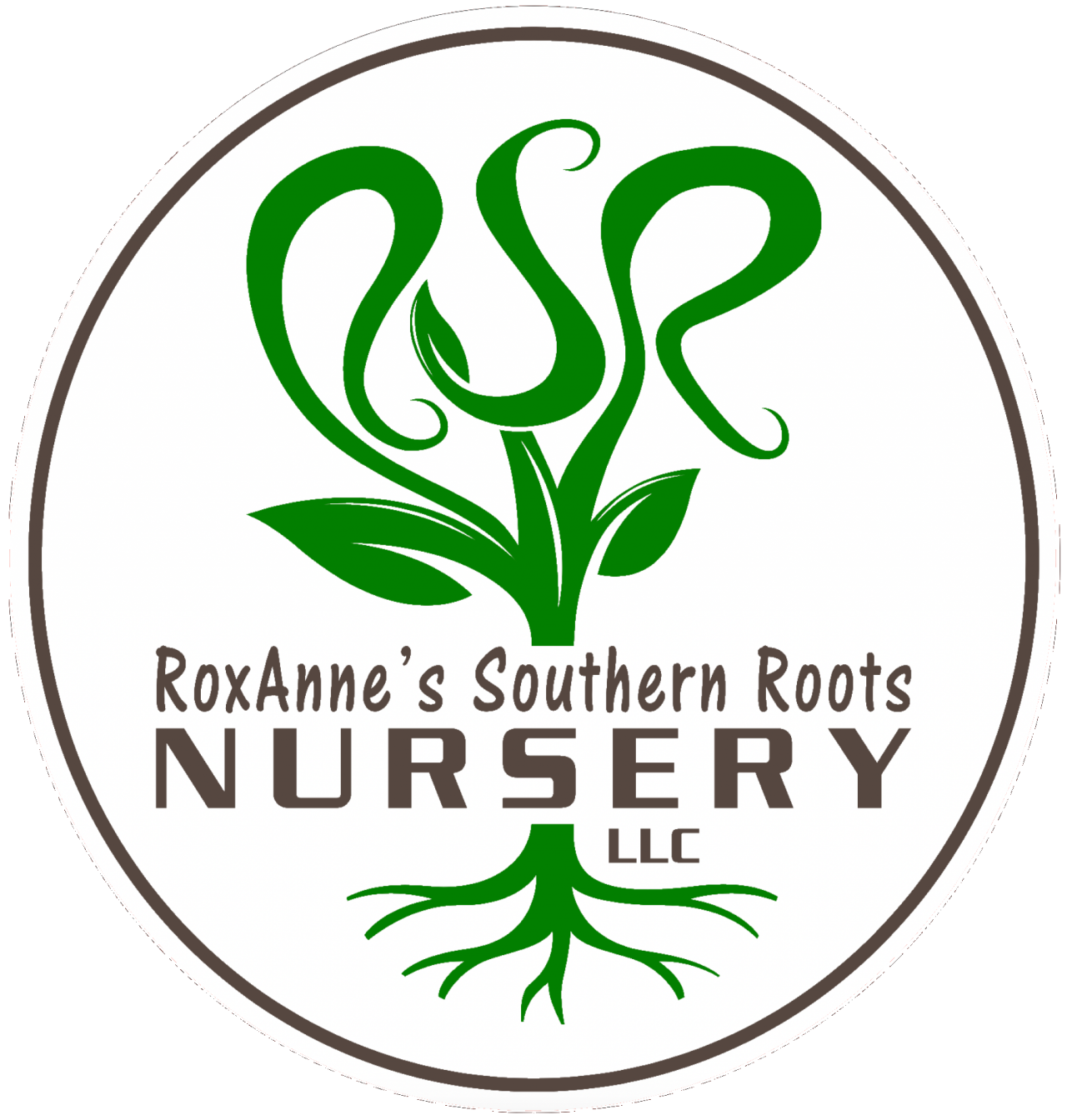 plant-list-roxanne-s-southern-roots-nursery